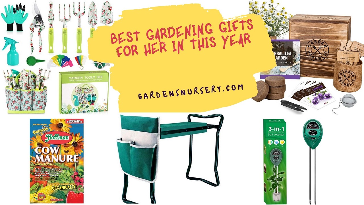 The Best 09 Gardening Gifts For Her In This Year 2021