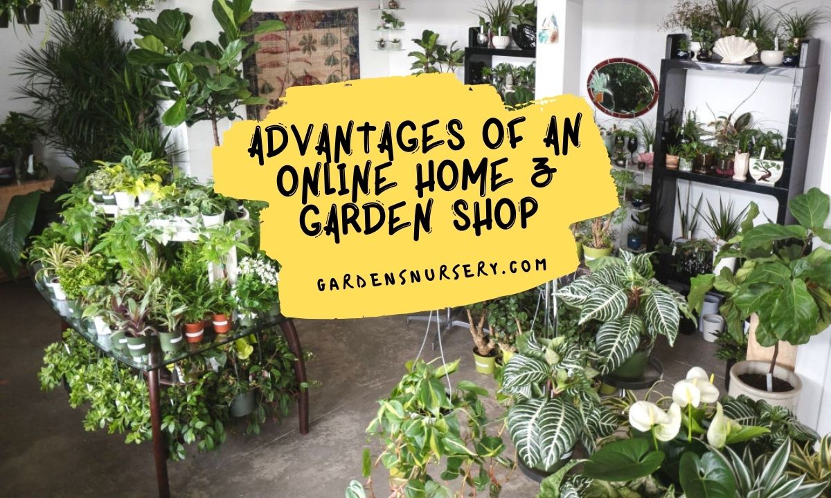 Advantages Of An Online Home &Amp; Garden Shop