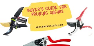 Buyer’s Guide For Pruning Shears