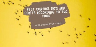Pest Control Do's And Don'ts According To The Pros