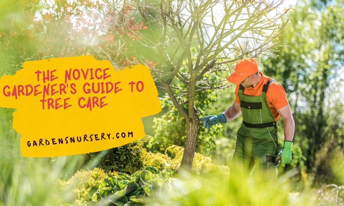 The Novice Gardener's Guide To Tree Care