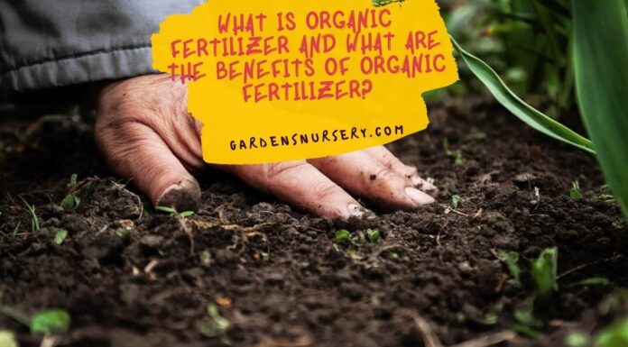 What Is Organic Fertilizer And What Are The Benefits Of Organic Fertilizer