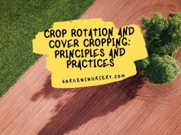 Crop Rotation and Cover Cropping Principles and Practices