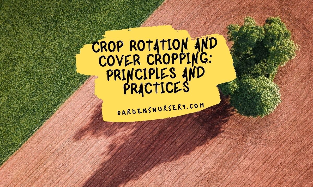 Crop Rotation And Cover Cropping Principles And Practices