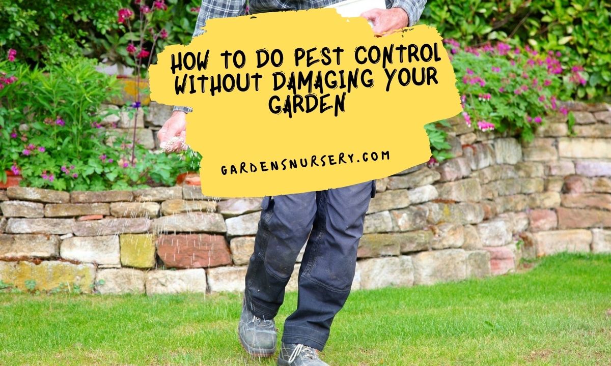 How To Do Pest Control Without Damaging Your Garden
