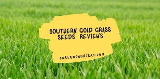 Southern Gold Grass Seeds Reviews