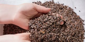 Top10 Advantages Of Using Buckwheat Hulls As Natural Mulch