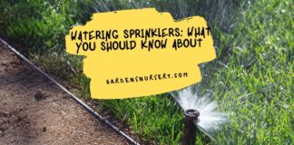 Watering Sprinklers What You Should Know About