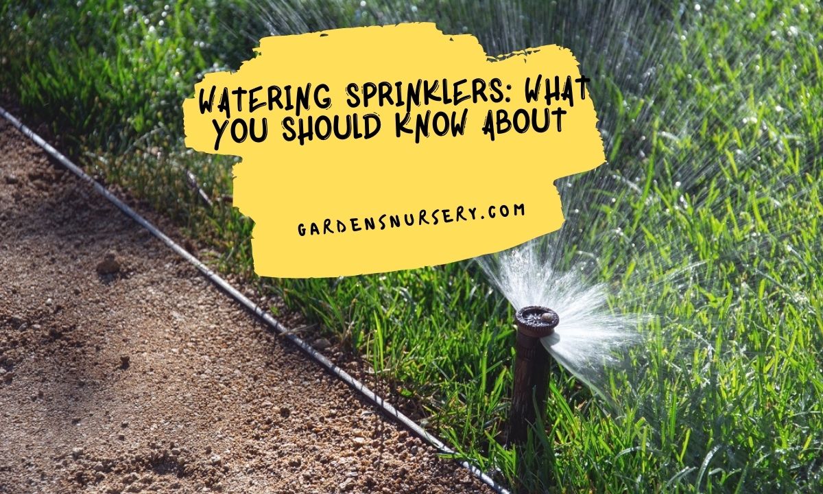 Watering Sprinklers What You Should Know About 