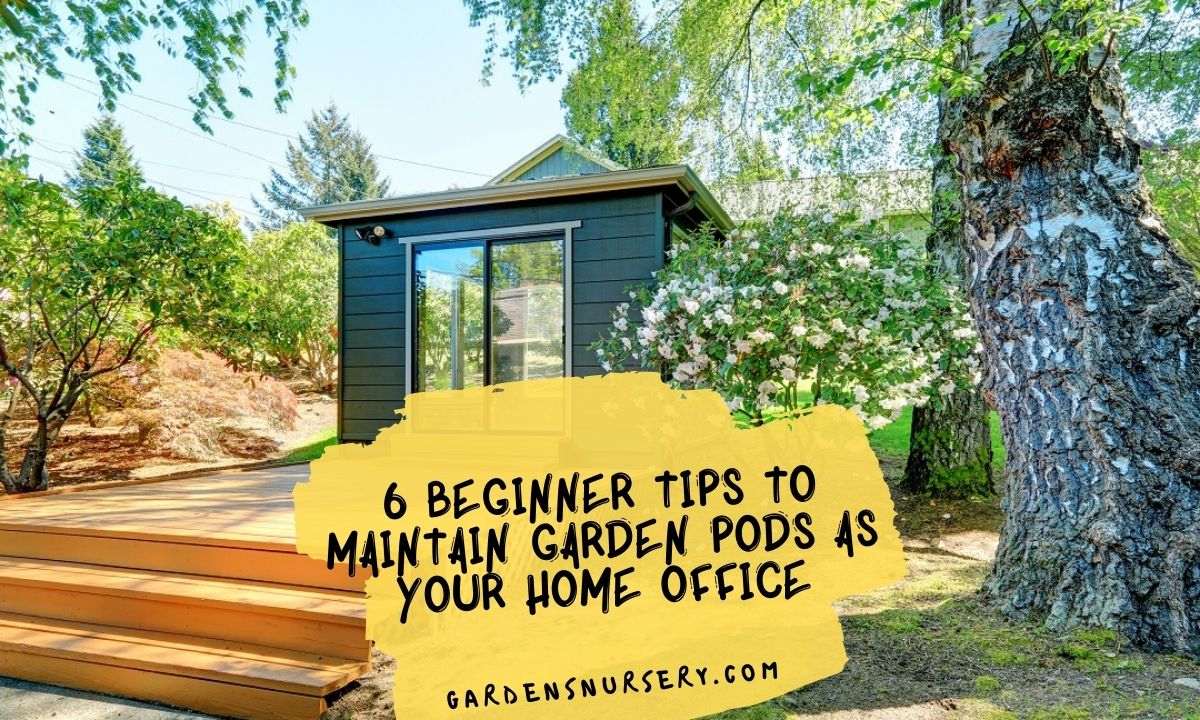 6 Beginner Tips To Maintain Garden Pods As Your Home Office