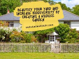 Beautify Your Yard And Increase Biodiversity By Creating A Wildlife Garden
