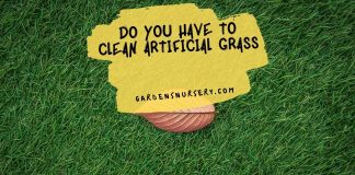 Do You Have to Clean Artificial Grass