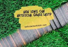 How Long Can Artificial Grass Last