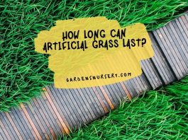 How Long Can Artificial Grass Last
