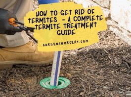 How To Get Rid Of Termites  - A Complete Termite Treatment Guide