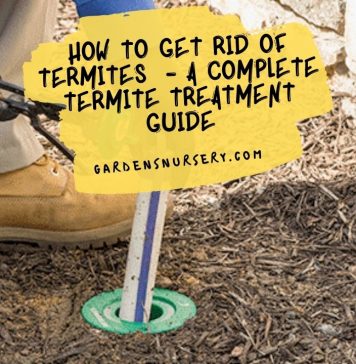 How to Get Rid of Termites  - A Complete Termite Treatment Guide