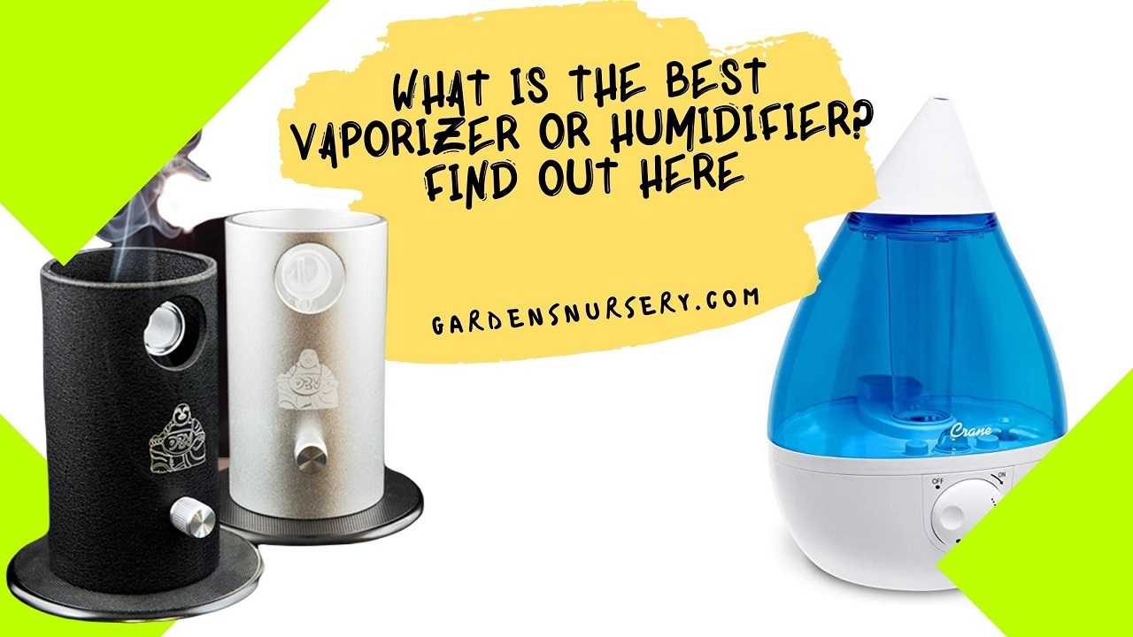 What Is The Best Vaporizer or Humidifier Find Out Here