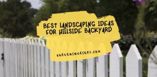 Best Landscaping Ideas For Hillside Backyard