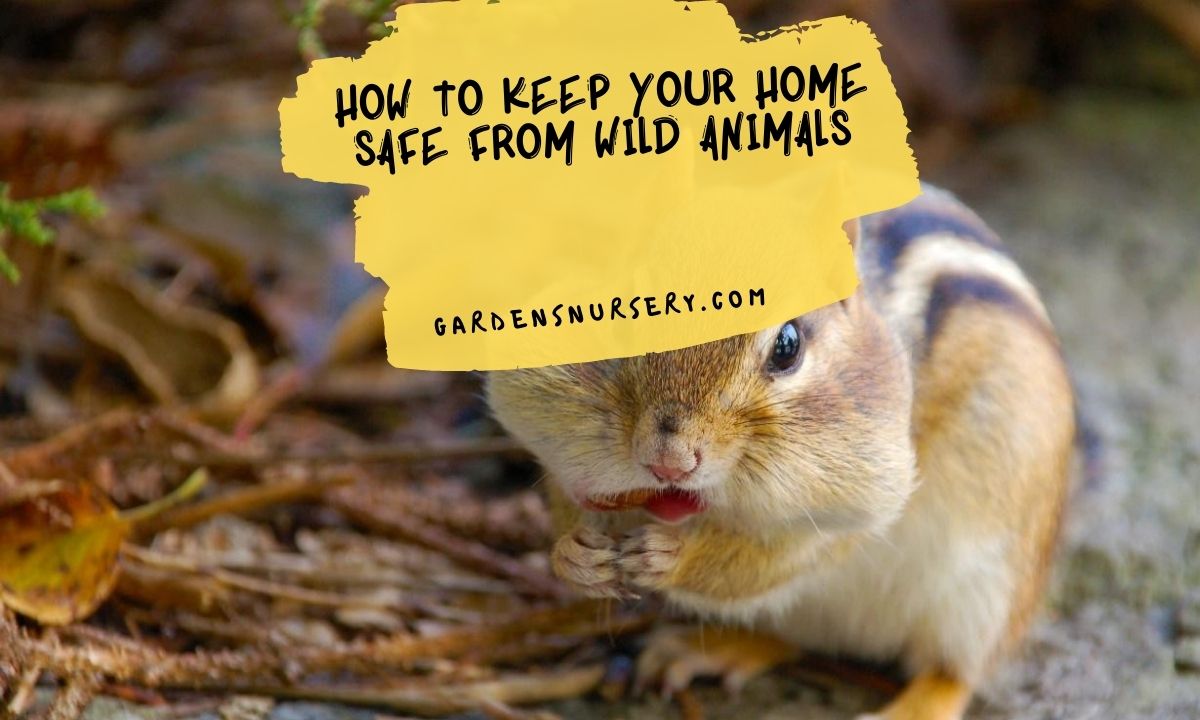 How To Keep Your Home Safe From Wild Animals