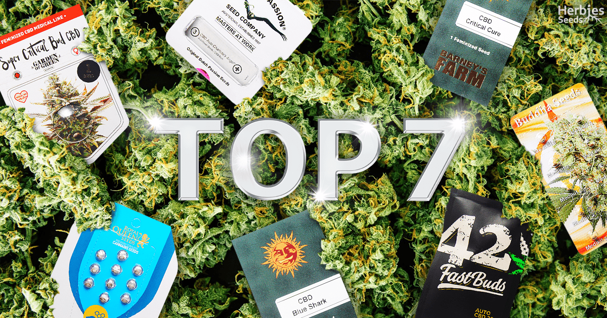 Top 7 CBD Strains from the Best Seed Banks