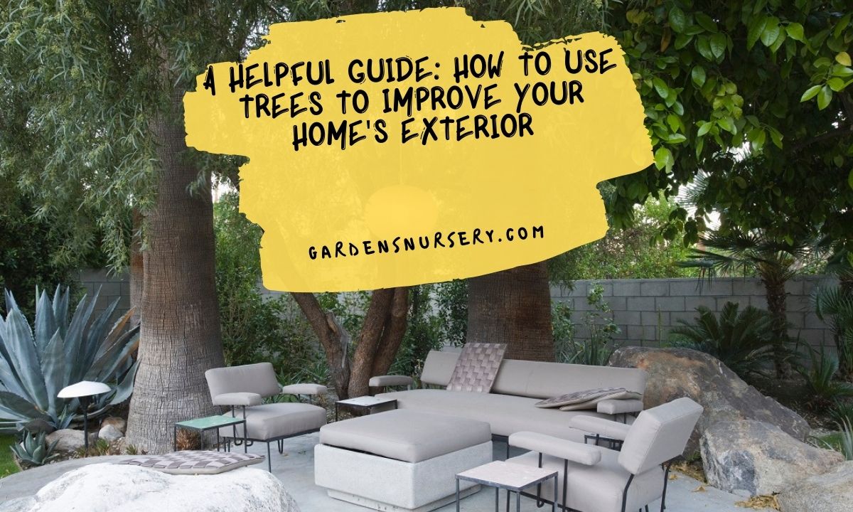 A Helpful Guide How To Use Trees To Improve Your Home's Exterior