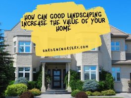 How Can Good Landscaping Increase The Value Of Your Home
