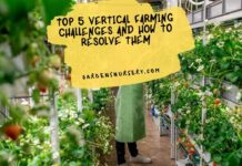 Top 5 Vertical Farming Challenges And How To Resolve Them