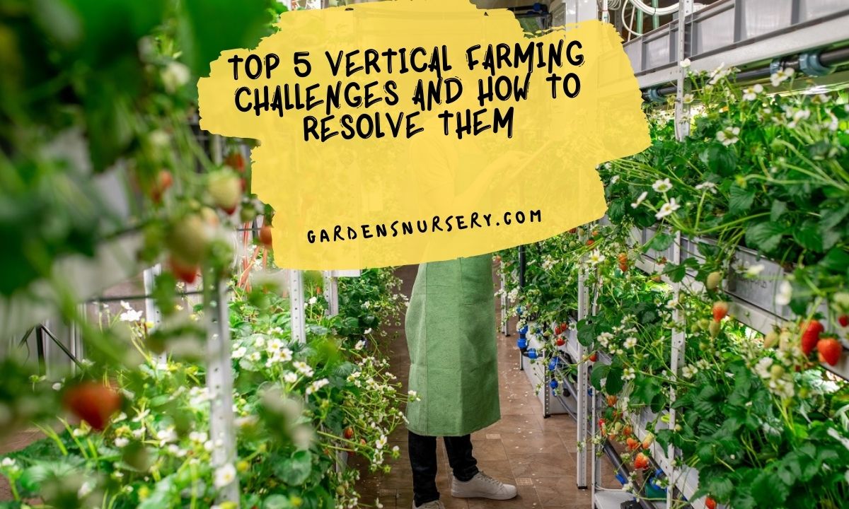 Top 5 Vertical Farming Challenges And How To Resolve Them