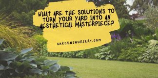 What Are The Solutions to Turn Your Yard Into an Aesthetical Masterpiece
