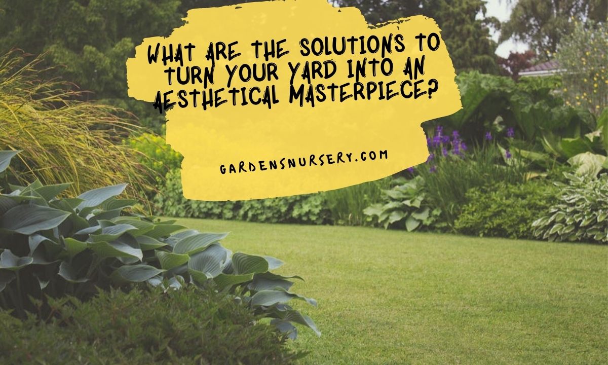What Are The Solutions to Turn Your Yard Into an Aesthetical Masterpiece