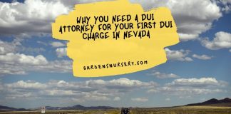 Why You Need A DUI Attorney For Your First DUI Charge In Nevada