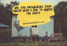 Are You Organizing Your Shed Here's How To Handle The Waste