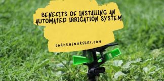 Benefits of Installing an Automated Irrigation System