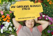 How Gardening Reduces Stress