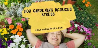 How Gardening Reduces Stress