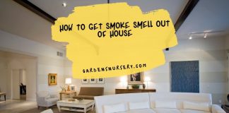 How to Get Smoke Smell Out of House