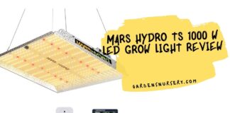 MARS HYDRO TS 1000 W Led Grow Light Review