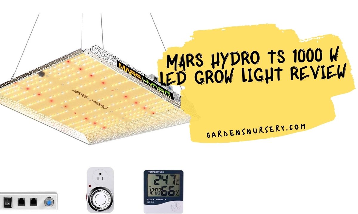 MARS HYDRO TS 1000 W Led Grow Light Review