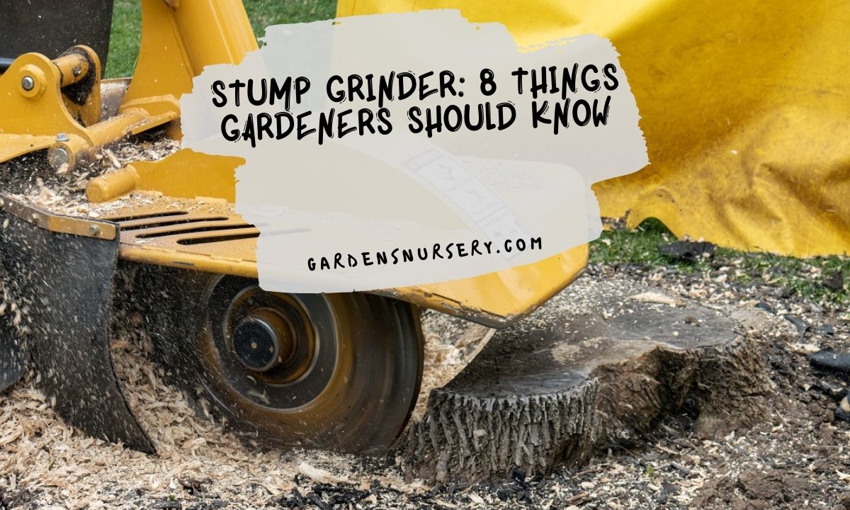 Stump Grinder 8 Things Gardeners Should Know
