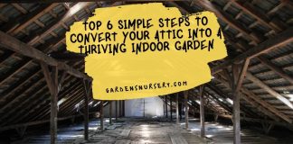Top 6 Simple Steps To Convert Your Attic Into A Thriving Indoor Garden