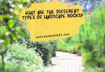What-Are-The-Different-Types-Of-Landscape-Rocks