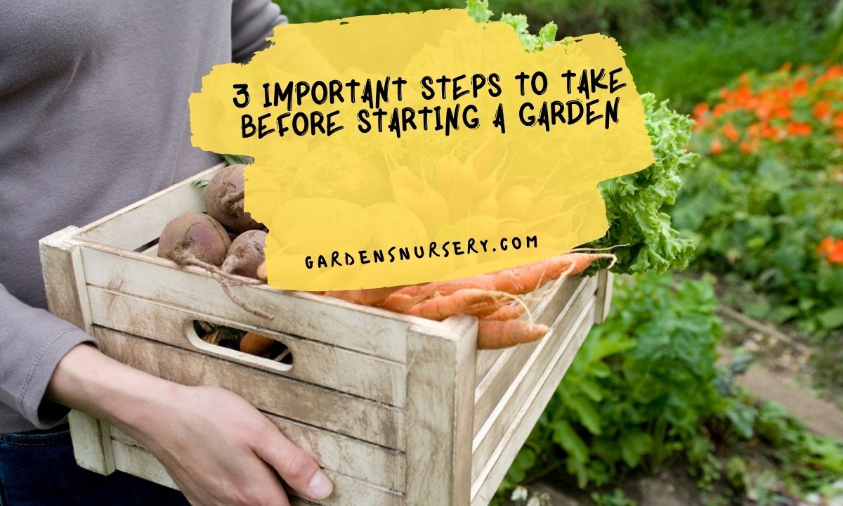 3 Important Steps to Take Before Starting a Garden