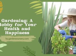 Gardening A Hobby for Your Health and Happiness