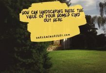 How Can Landscaping Raise The Value Of Your Home Find Out Here