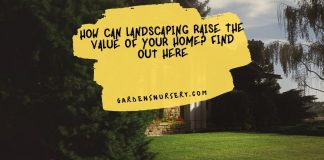 How Can Landscaping Raise The Value Of Your Home Find Out Here