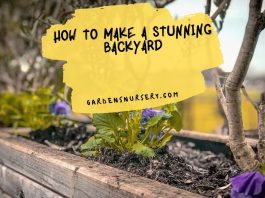 How-To-Make-A-Stunning-backyard