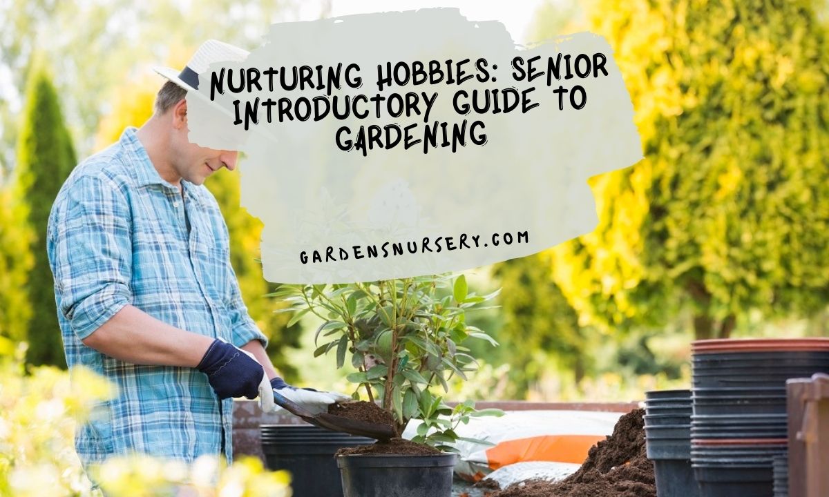 Nurturing-Hobbies-Senior-Introductory-Guide-To-Gardening