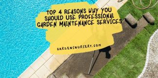 Top 4 Reasons Why You Should Use Professional Garden Maintenance Services