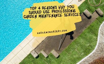 Top 4 Reasons Why You Should Use Professional Garden Maintenance Services
