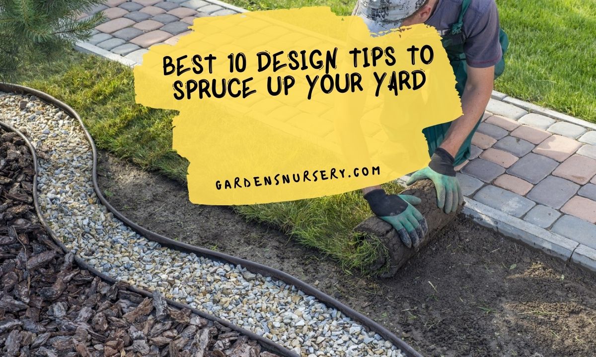 Best 10 Design Tips To Spruce Up Your Yard